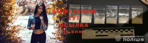 трава Заволжск