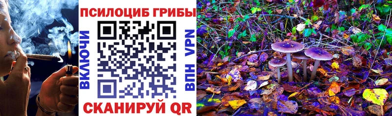 Купить где  Арсеньев  Галлюциногенные грибы Psilocybine cubensis 
